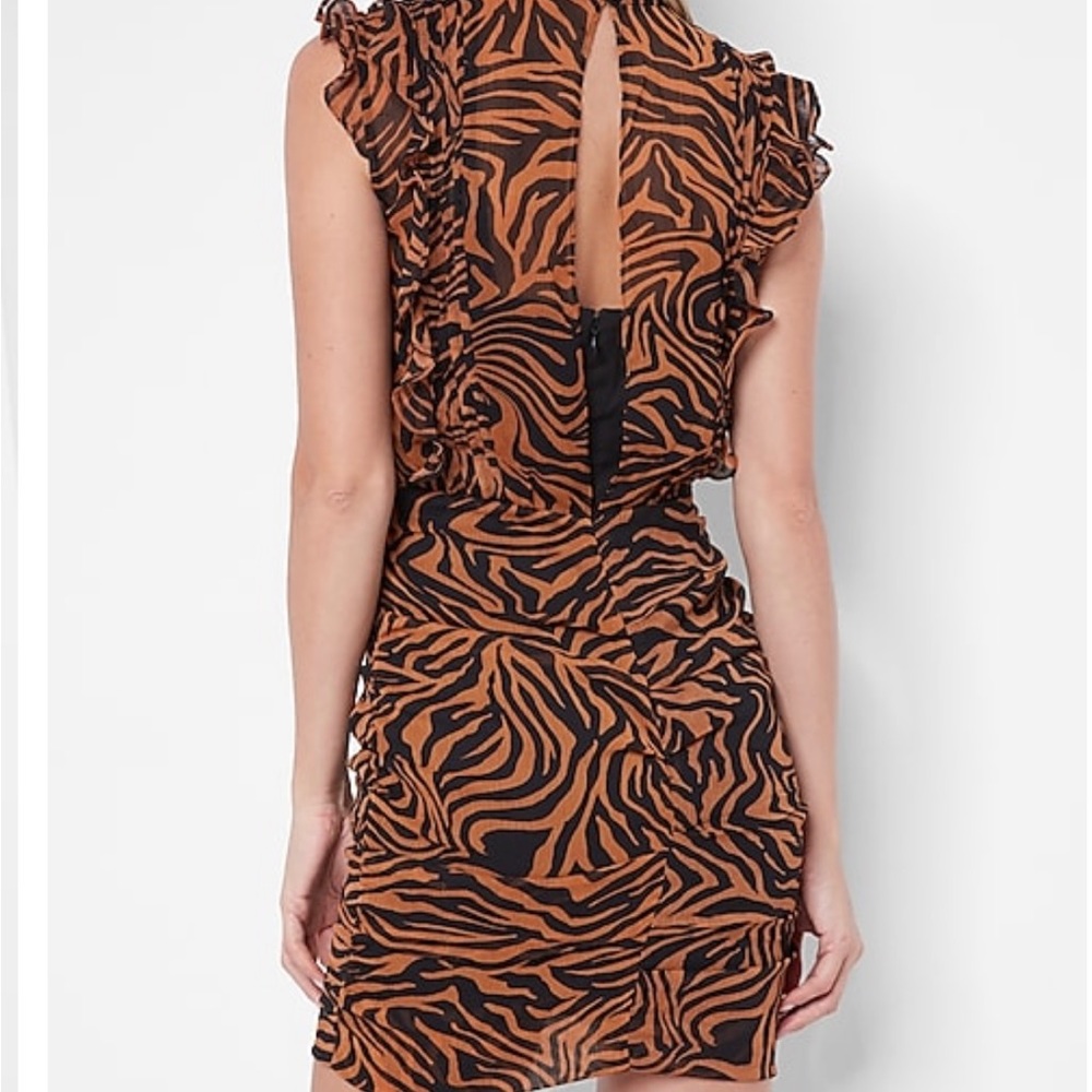 Express Dress - Picture 4 of 8
